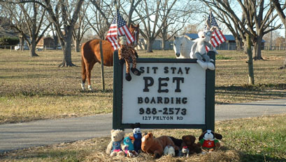 Pet Boarding Perry Ga